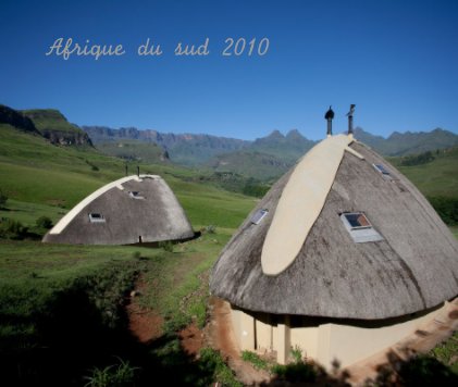 Afrique du sud 2010 book cover