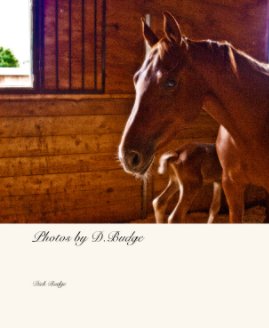 Photos by D.Budge book cover