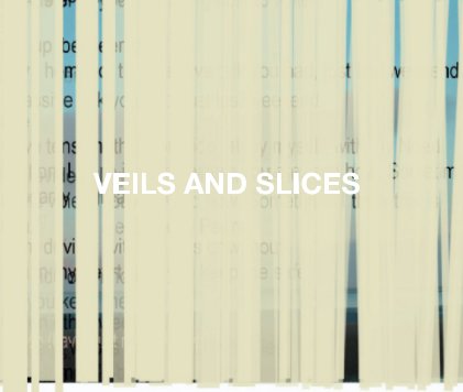 VEILS AND SLICES book cover