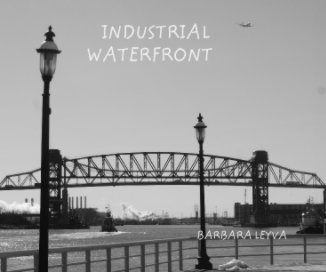 INDUSTRIAL  WATERFRONT book cover