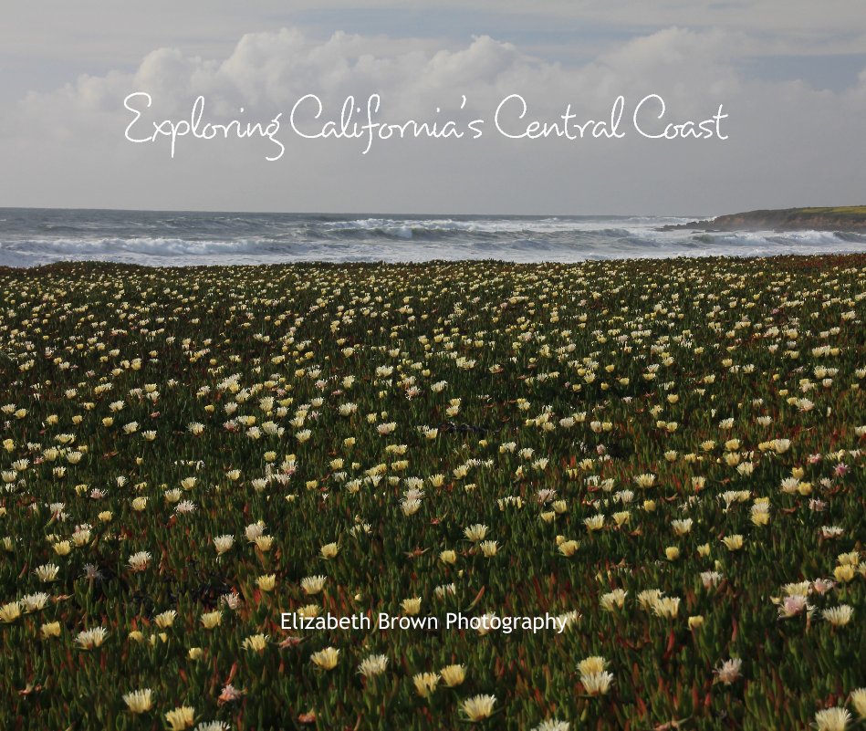 View Exploring California's Central Coast by Elizabeth Brown Photography
