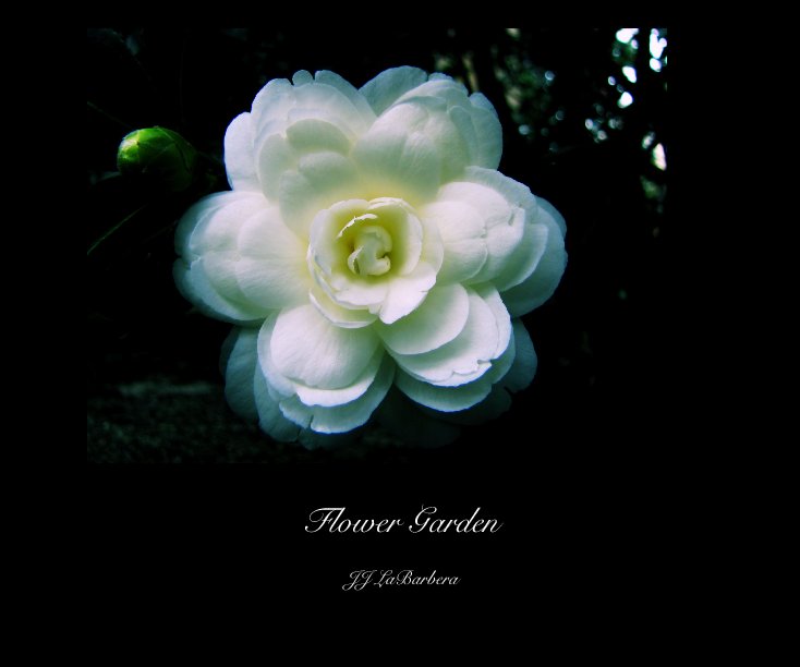 Ver Flower Garden por JJ LaBarbera
