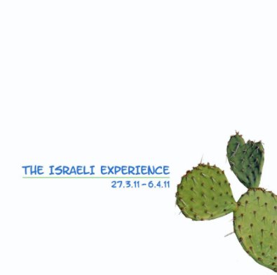the israeli experience book cover