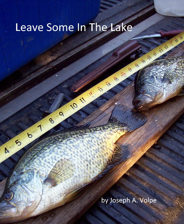 View Leave Some In The Lake by Joseph A. Volpe