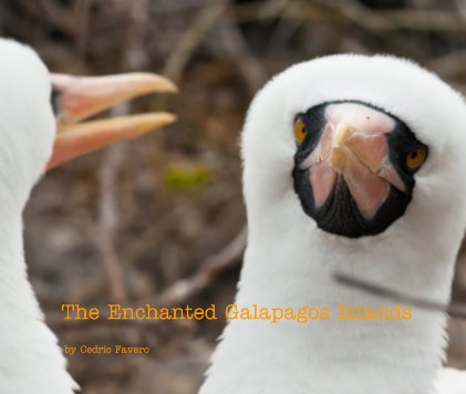 The Enchanted Galapagos Islands book cover