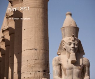 Egypt 2011 book cover