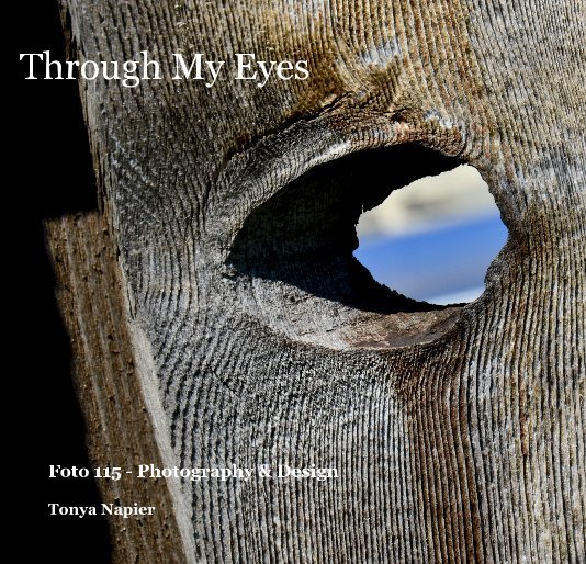 View Through My Eyes by Tonya Napier
