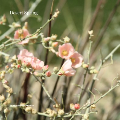 Desert Spring book cover