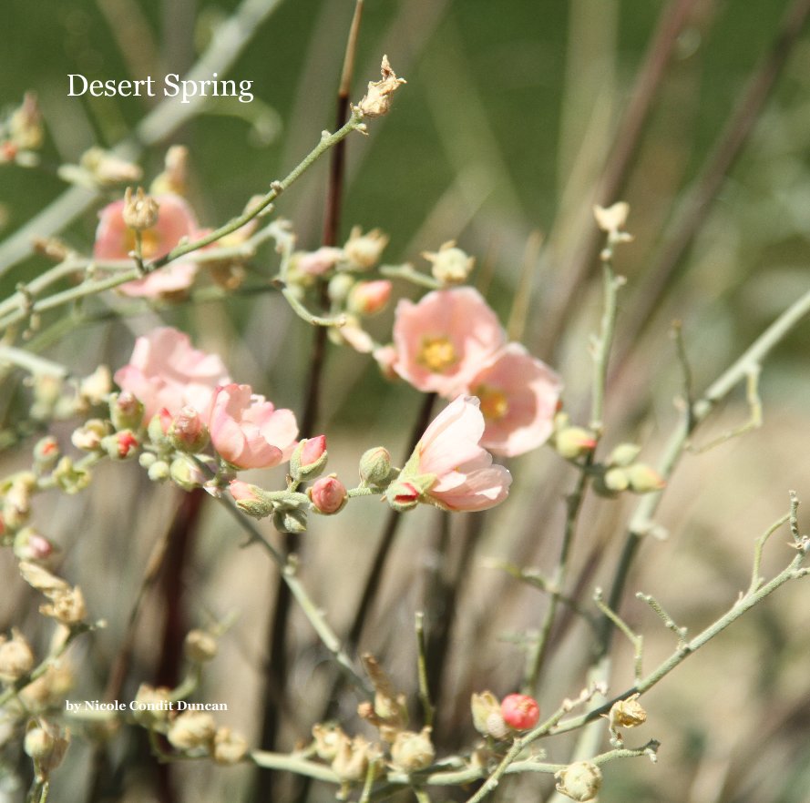 View Desert Spring by Nicole Condit Duncan
