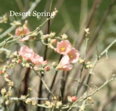 Desert Spring book cover