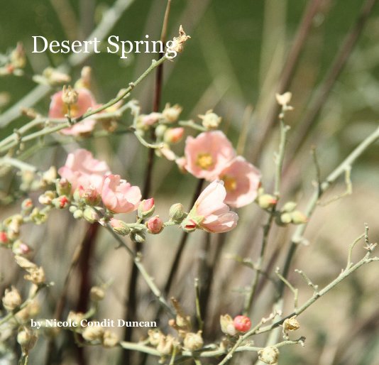 View Desert Spring by Nicole Condit Duncan