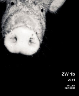 ZW 1b book cover