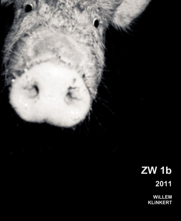 View ZW 1b by WiLLEM KLiNKERT