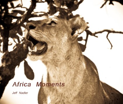 Africa Moments book cover