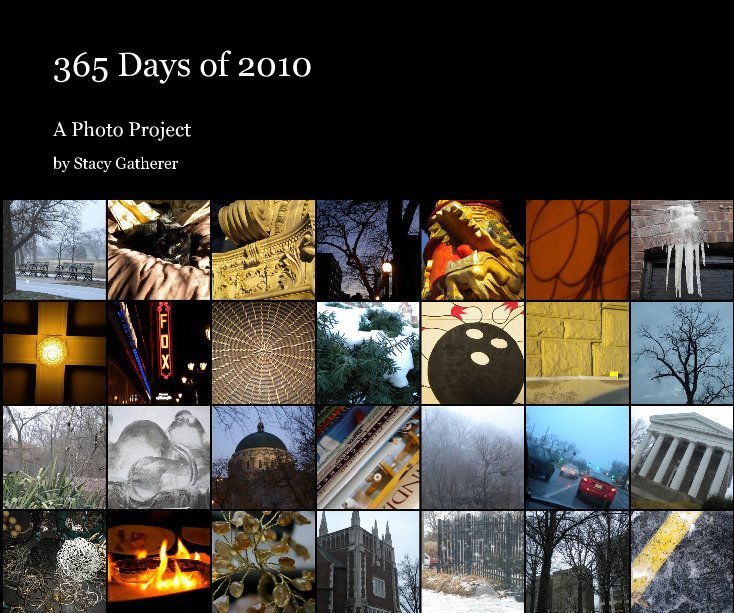 Ver 365 Days of 2010 por Stacy Gatherer