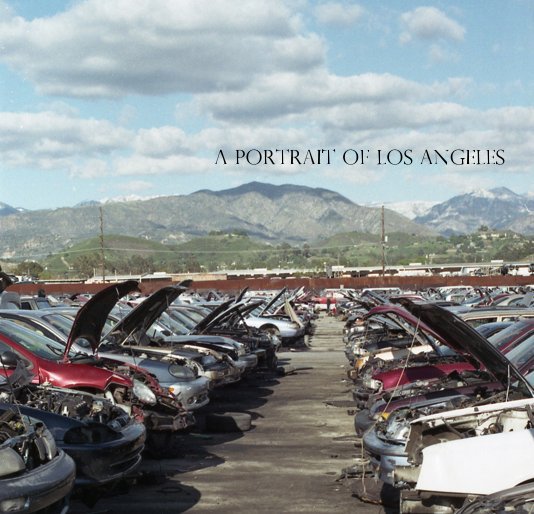 View A Portrait of Los Angeles by amyrussell