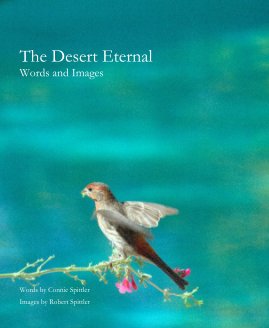 The Desert Eternal book cover