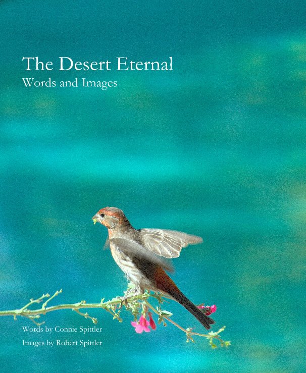View The Desert Eternal by Connie Spittler, Images Robert Spittler