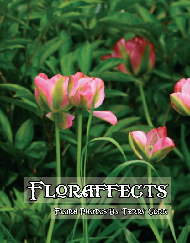 Ver Floraffects por Terry Cork