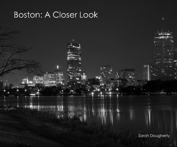 Visualizza Boston: A Closer Look di Sarah Dougherty