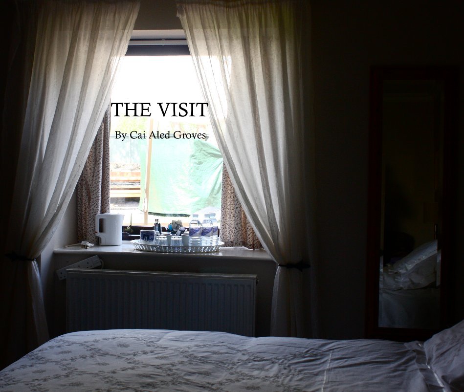 View The Visit by Cai Aled Groves