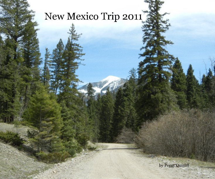 View New Mexico Trip 2011 by Peggy Quiniff