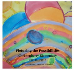 Picturing the Possibilities book cover