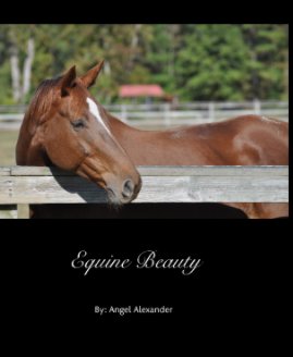Equine Beauty book cover