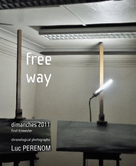 free way, dimanches 2011, first trimester book cover