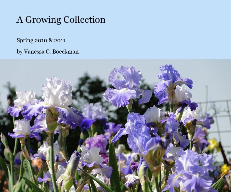 View A Growing Collection by Vanessa C. Boeckman