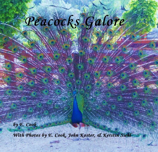 View Peacocks Galore by E. Cook