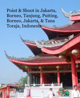 Point & Shoot in Jakarta, Borneo, Tanjung, Putting, Borneo, Jakarta, & Tana Toraja, Indonesia book cover