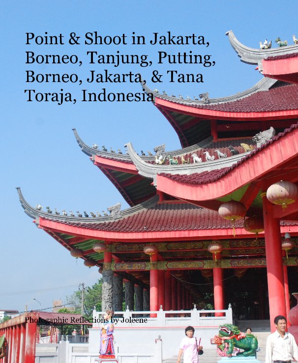 View Point & Shoot in Jakarta, Borneo, Tanjung, Putting, Borneo, Jakarta, & Tana Toraja, Indonesia by Photogaphic Reflections by Joleene
