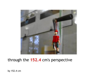 through the 152.4 cm's perspective book cover