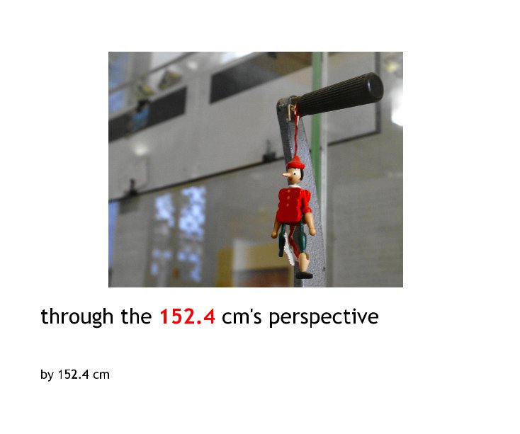 View through the 152.4 cm's perspective by 152.4 cm