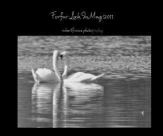 Forfar Loch In May 2011 book cover