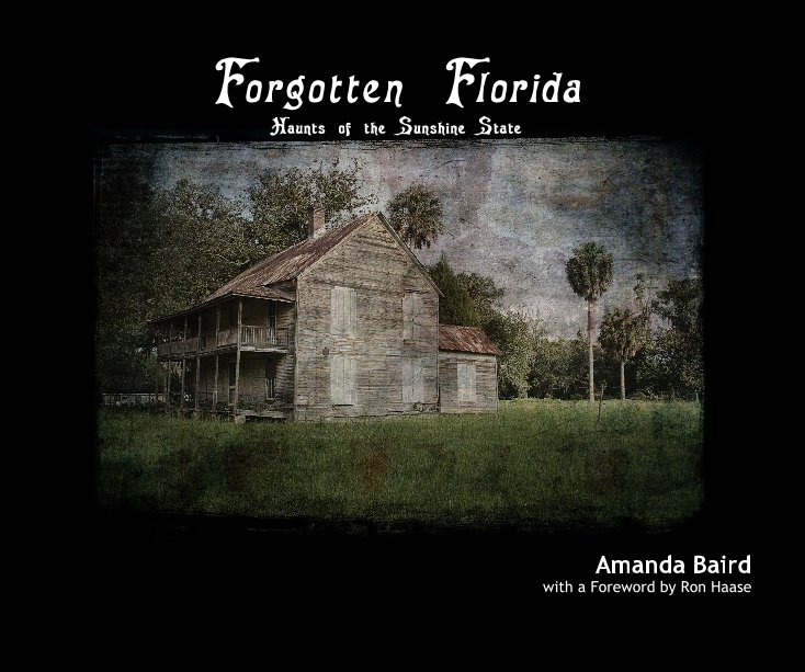 View Forgotten Florida by Amanda Baird