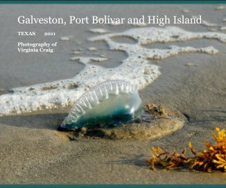 Galveston, Port Bolivar and High Island book cover