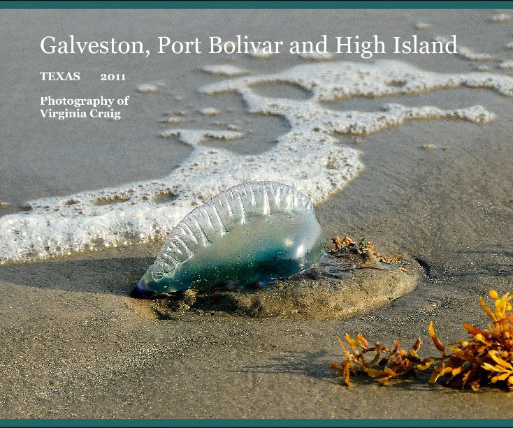 Ver Galveston, Port Bolivar and High Island por Photography of Virginia Craig
