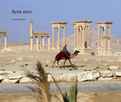 Syria 2011 book cover