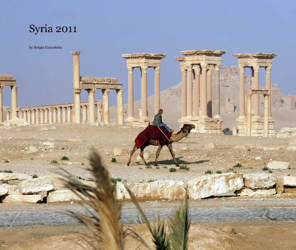 View Syria 2011 by Sergio Giacoletto