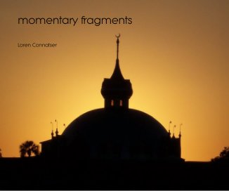 momentary fragments book cover