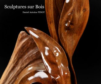 Sculptures sur Bois book cover