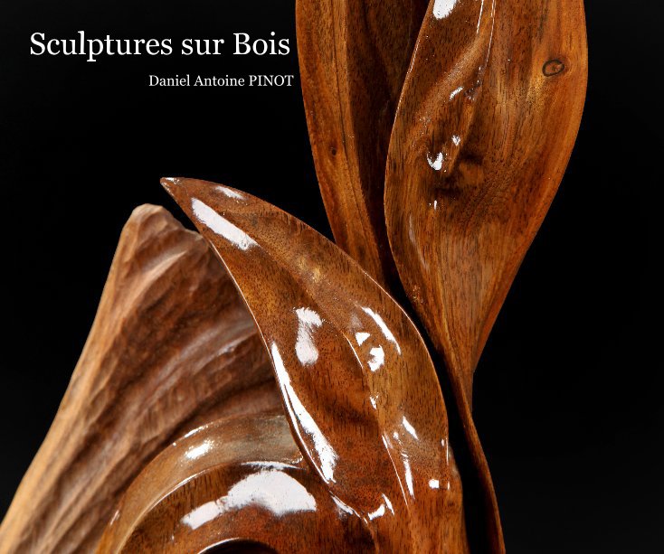 View Sculptures sur Bois by Olivier DEMOLS