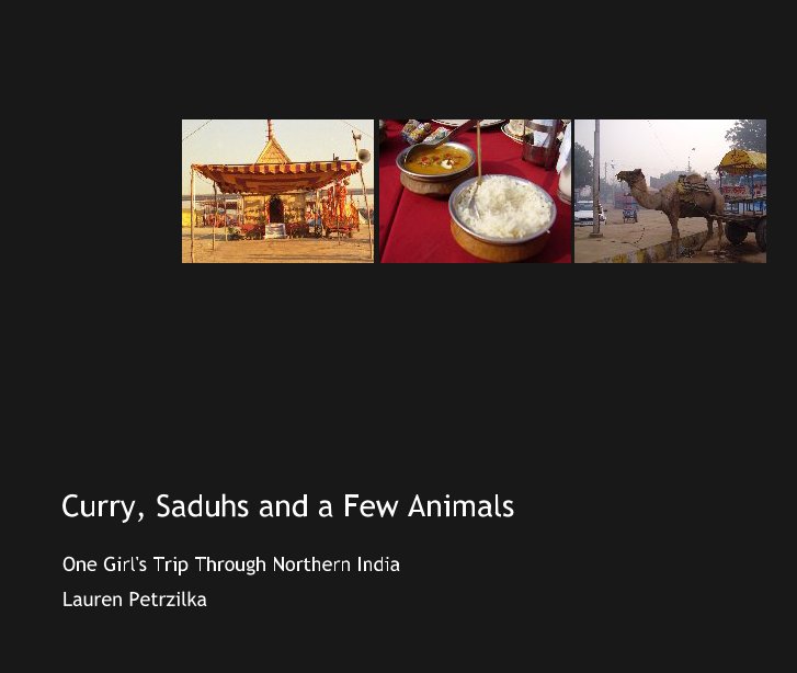 View Curry, Saduhs and a Few Animals by Lauren Petrzilka