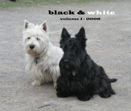 black & white volume I - 2006 book cover