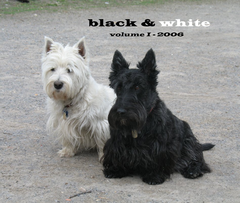 Ver black & white volume I - 2006 por handyjafo