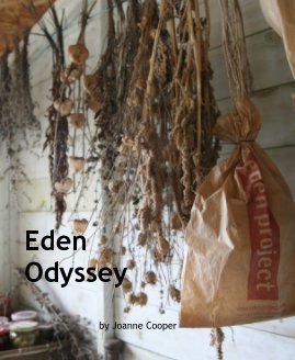 Eden Odyssey book cover