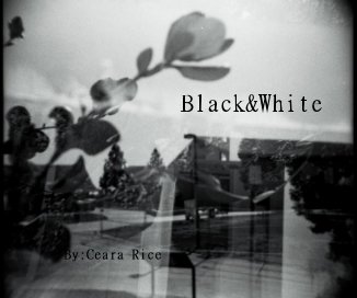 Black&White By:Ceara Rice book cover