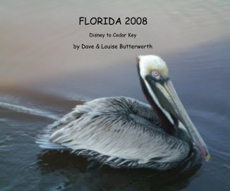 FLORIDA 2008 book cover